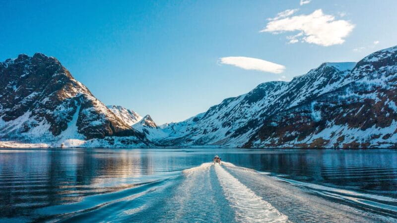 Tromsø Whale Safari with MS Keiser Wilhelm - Key points / Takeaways