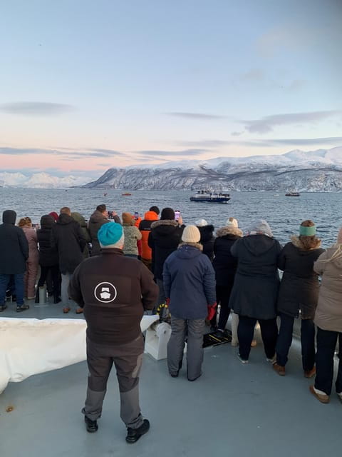 Tromsø Whale Safari with MS Keiser Wilhelm - Who Should Consider This Tour?