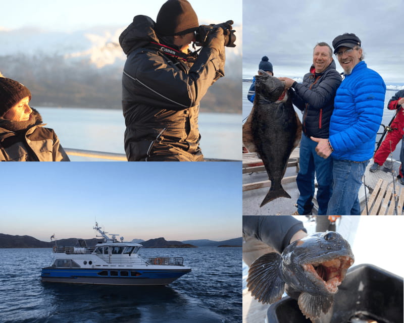 Tromsøs Top-Rated Fjord & Fishing Cruise  All-Inclusive - Entering the Fjords: A True Arctic Voyage