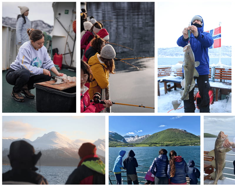 Tromsøs Top-Rated Fjord & Fishing Cruise  All-Inclusive - FAQ: Your Practical Questions Answered