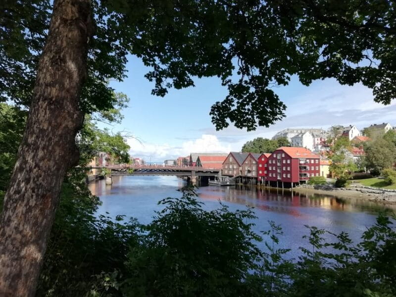 Trondheim : Explore the city of kings with a local guide - Exploring Trondheim: A Guided Journey Through Norway’s Historic City