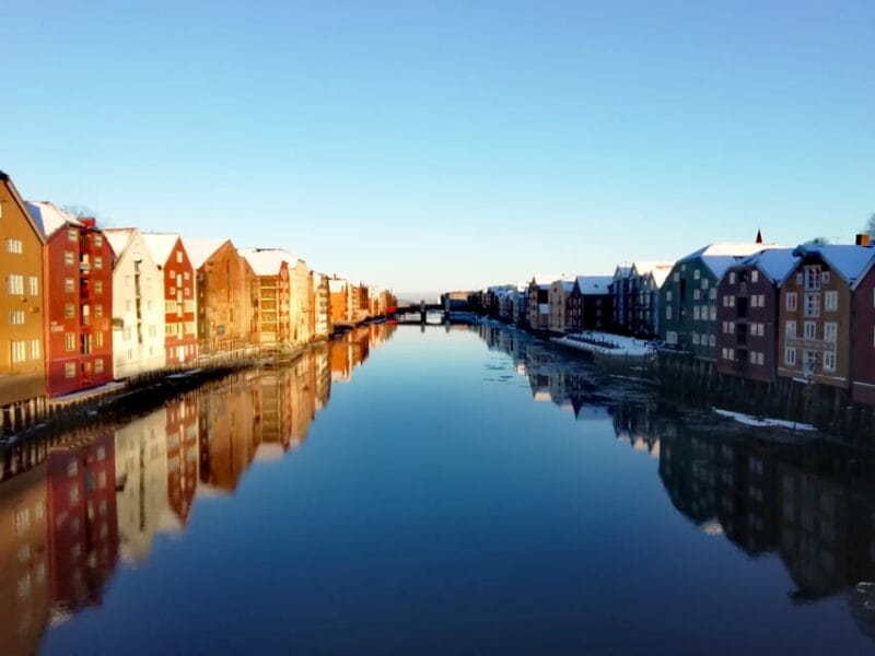 Trondheim : Explore the city of kings with a local guide - Who Will Love This Tour?