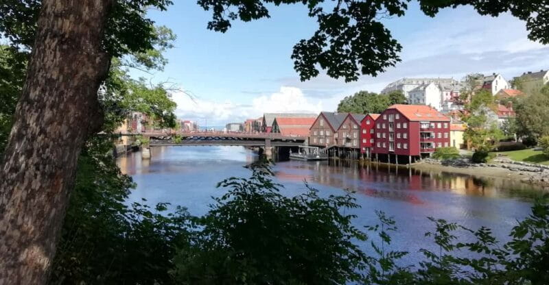 Trondheim : Explore the city of kings with a local guide - Final Thoughts