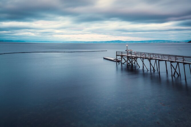 Trondheim Like a Local: Customized Private Tour - Company Information and Future Tours