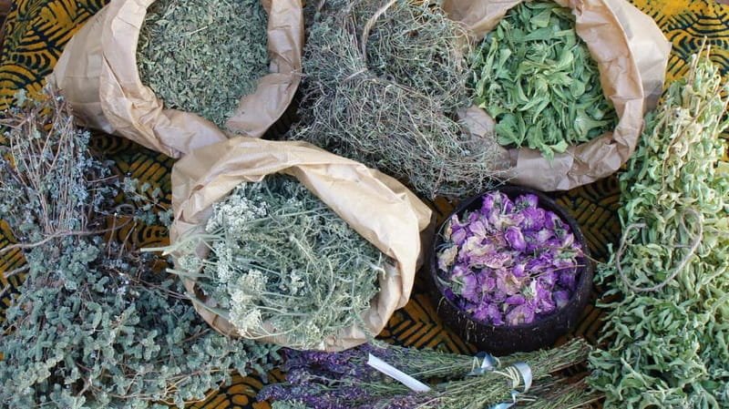 Troodos Villages and Kykkos Monastery from Paphos in Polish - Price, Value, and Practical Tips