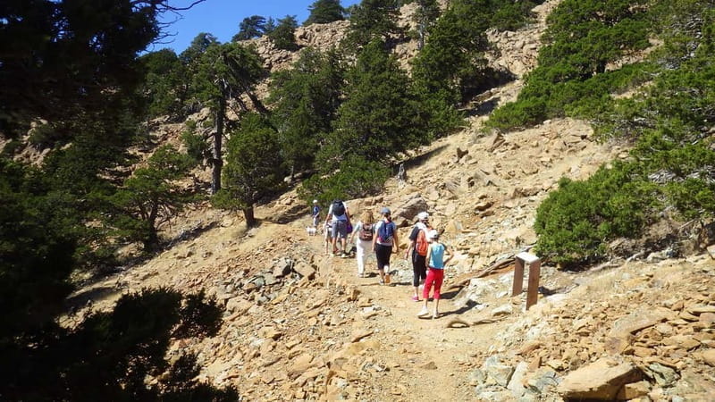 Troodos walking trip - Key points / Takeaways