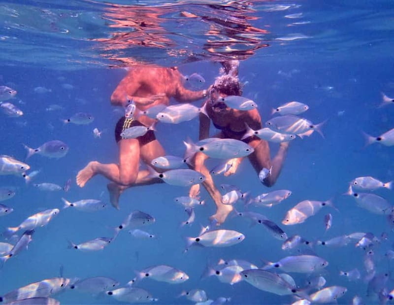 Tropea: Boat Tour on the Coast of the Gods - maximum 12 people on board - Who Should Book?