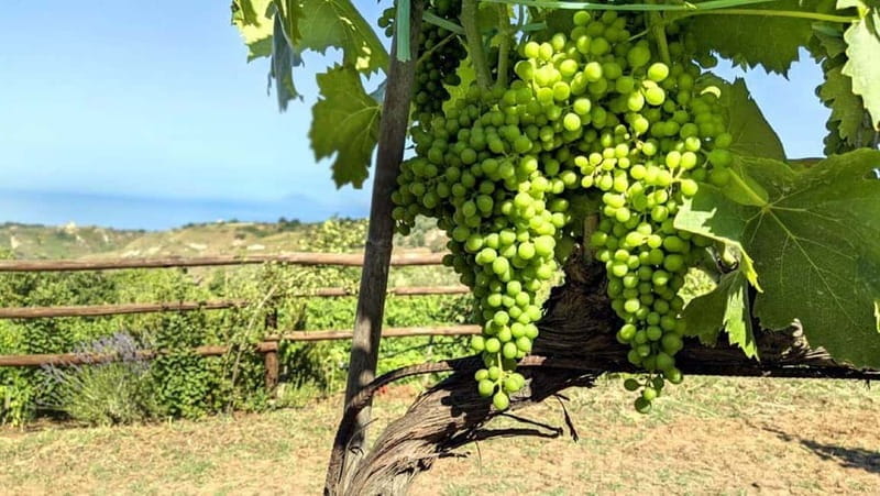 Tropea: Calabrian Cooking Class with Lunch - Setting the Scene: Starting the Calabrian Cooking Adventure