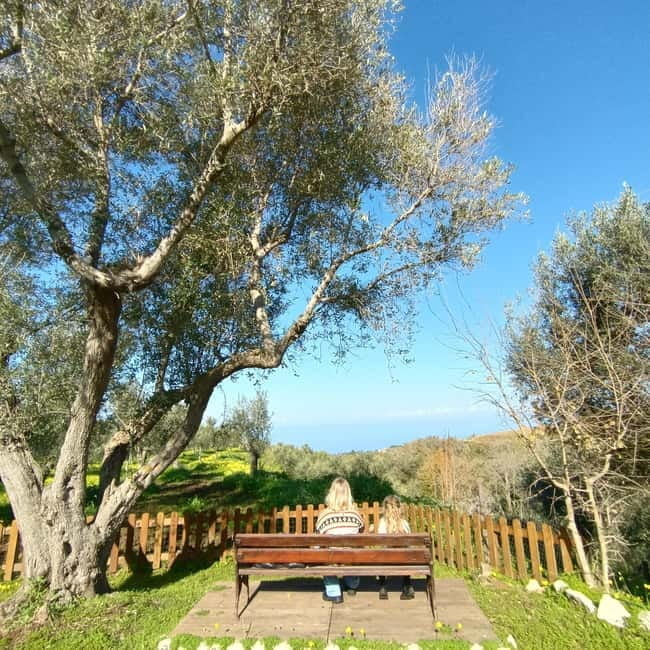 Tropea: Lemon Experience with Limoncello Making - Experiencing Tropea’s Lemon Paradise: A Detailed Review