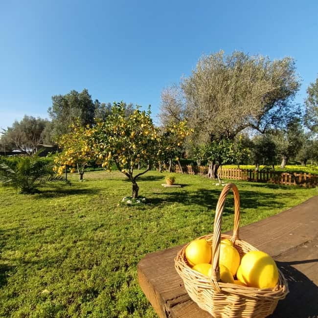 Tropea: Lemon Experience with Limoncello Making - FAQ