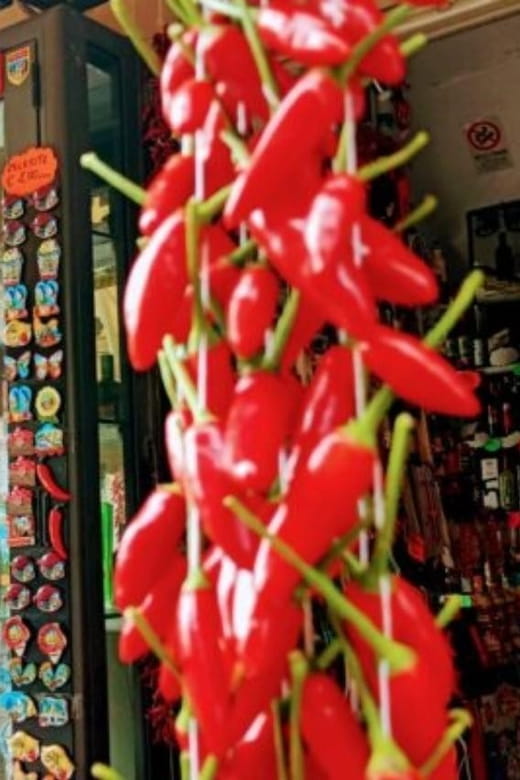 Tropea: Street Food Walking Tour - Price and Value