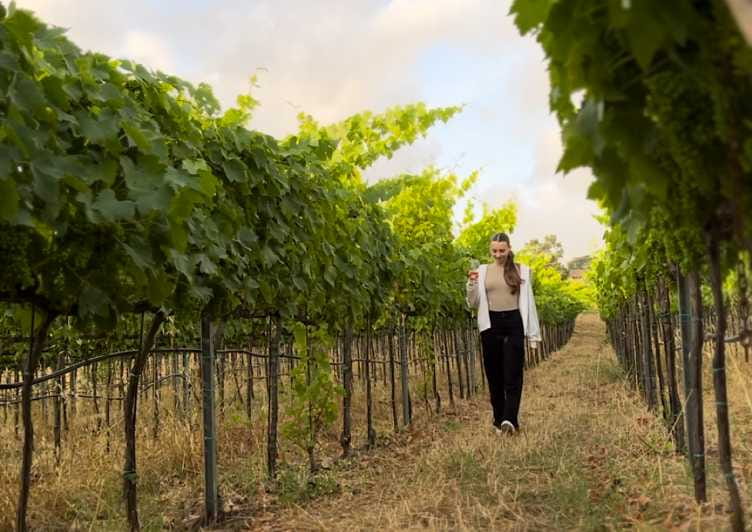 Tropea: Wine and Food Tasting - Discovering Tropea’s Wine and Food Tasting: A Practical Guide