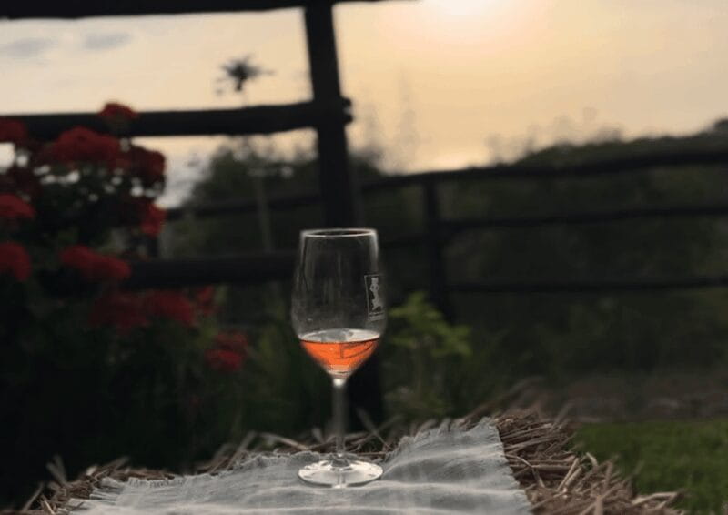 Tropea: Wine and Food Tasting - The Calabrian Buffet: A Taste of Home