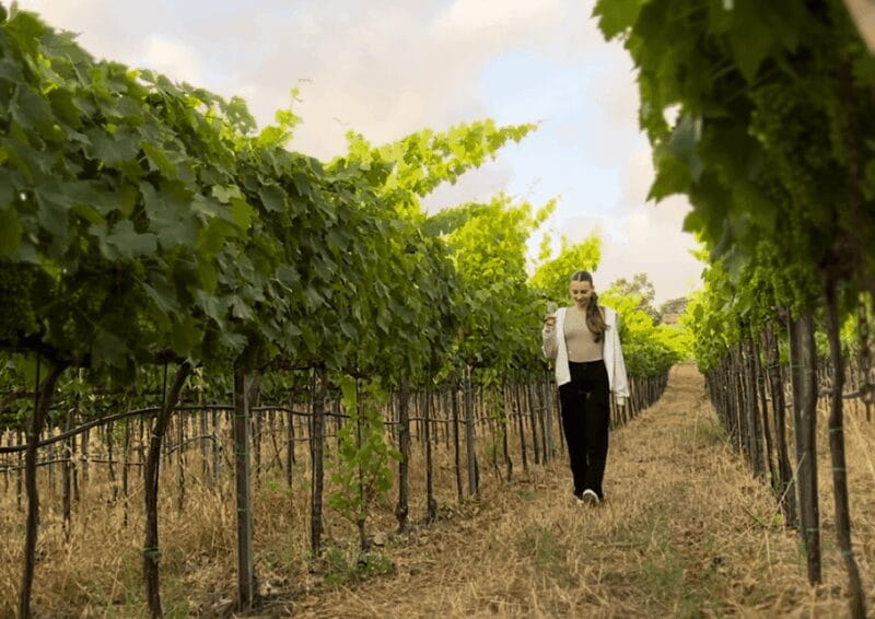 Tropea: Wine and Food Tasting - Practical Details: Price, Logistics, and Suitability