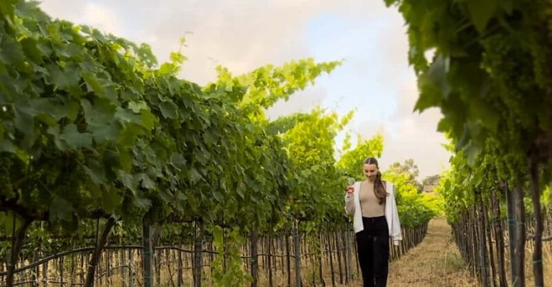 Tropea: Wine and Food Tasting - Final Thoughts