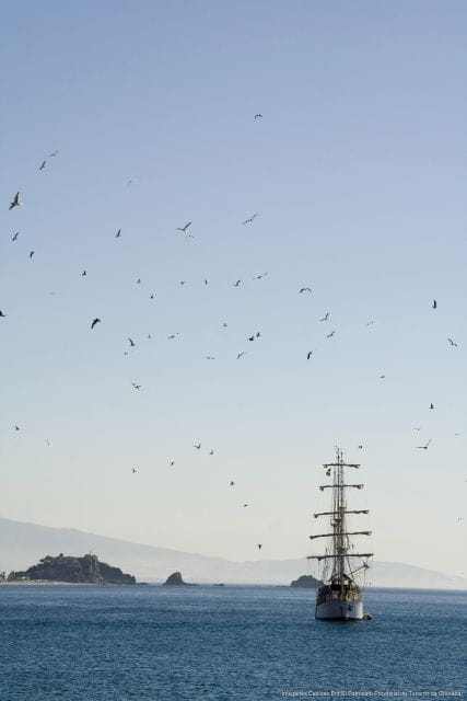 Tropical Coast and Caves of Nerja Day Tour From Granada - Lunch Option