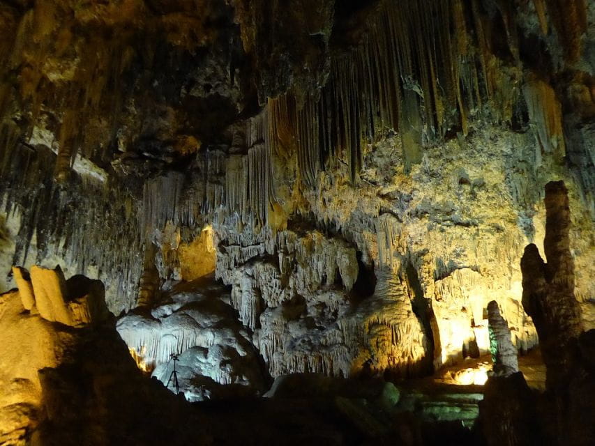 Tropical Coast and Caves of Nerja Day Tour From Granada - Things To Know