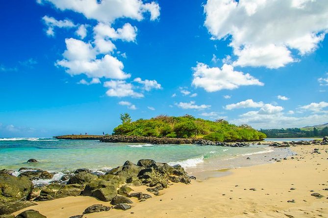 Tropical South West of Mauritius: Full-Day All Inclusive Tour (Visit to 3 Parks) - Dietary Options