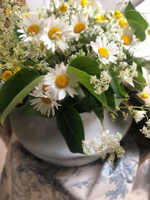 Trouville-sur-Mer: Creative Nature Workshop for Children - Who Will Love This Experience?