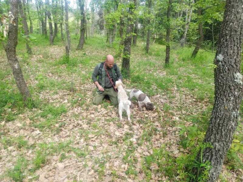 Truffle Experience - The Joy of the Truffle Harvest