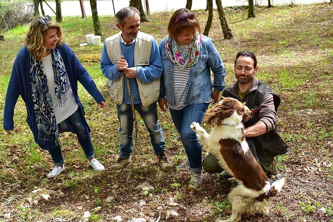 Truffle Hunt & Bio Lunch in Assisi - Who Will Love This Tour?