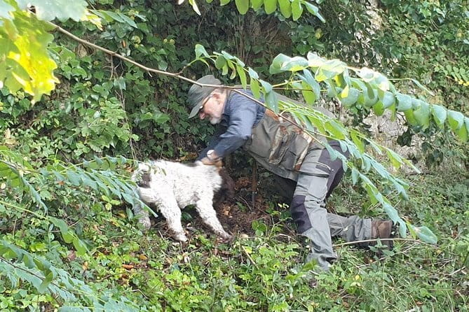 Truffle hunt, Lunch, Horse riding, a top half-day near Florence - Key points / Takeaways