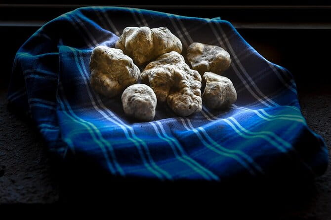 Truffle Hunting and Handmade Pasta in Ascoli Piceno - The Joy of a Truffle Hunt with Dogs