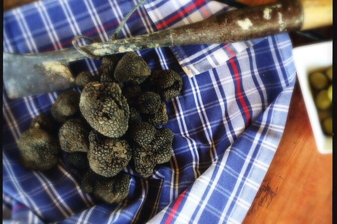 Truffle Hunting and Handmade Pasta in Ascoli Piceno - The Feast: Homemade Pasta with Truffles and Local Wines