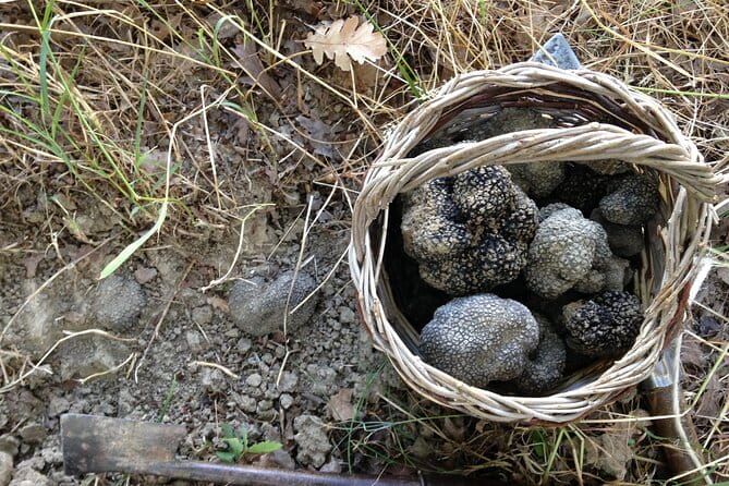 Truffle Hunting and Handmade Pasta in Ascoli Piceno - FAQ