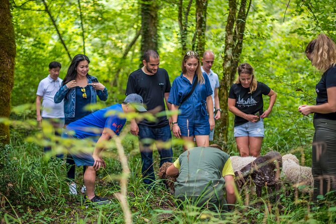 Truffle Hunting & Cooking Tour - Truffle-Centric Meal
