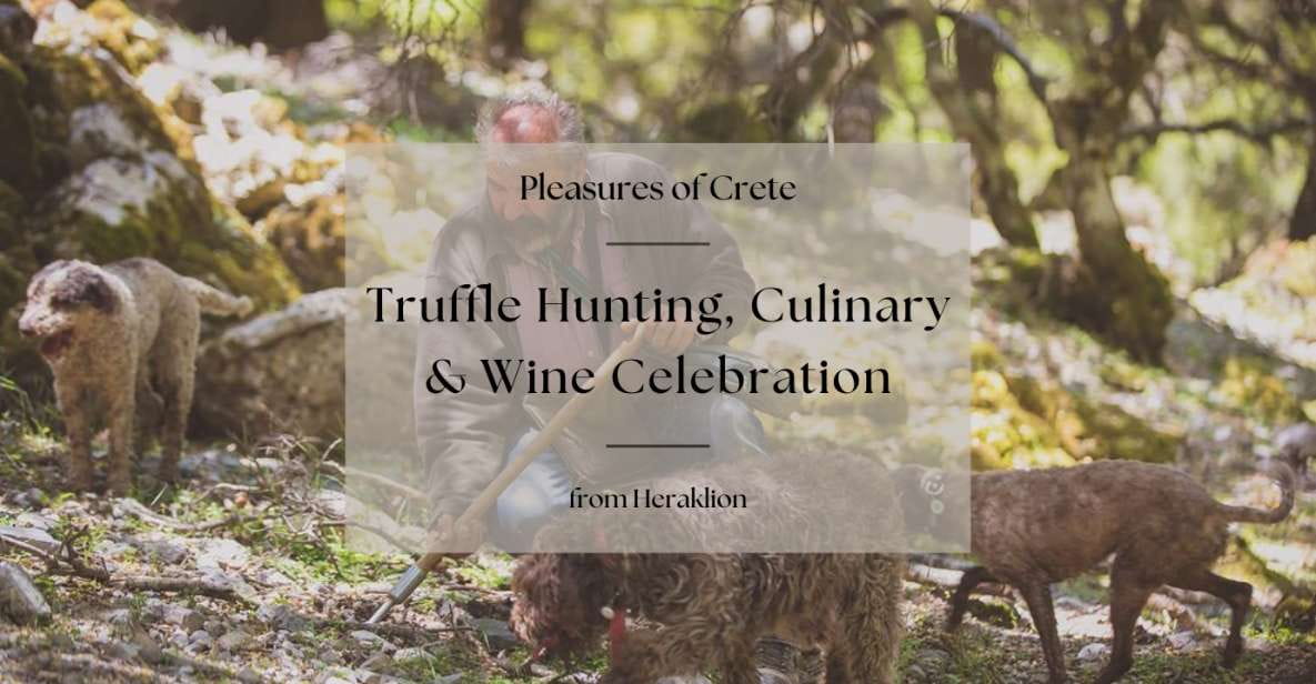 Truffle Hunting, Culinary & Wine Celebration From Heraklion - Cultural Immersion