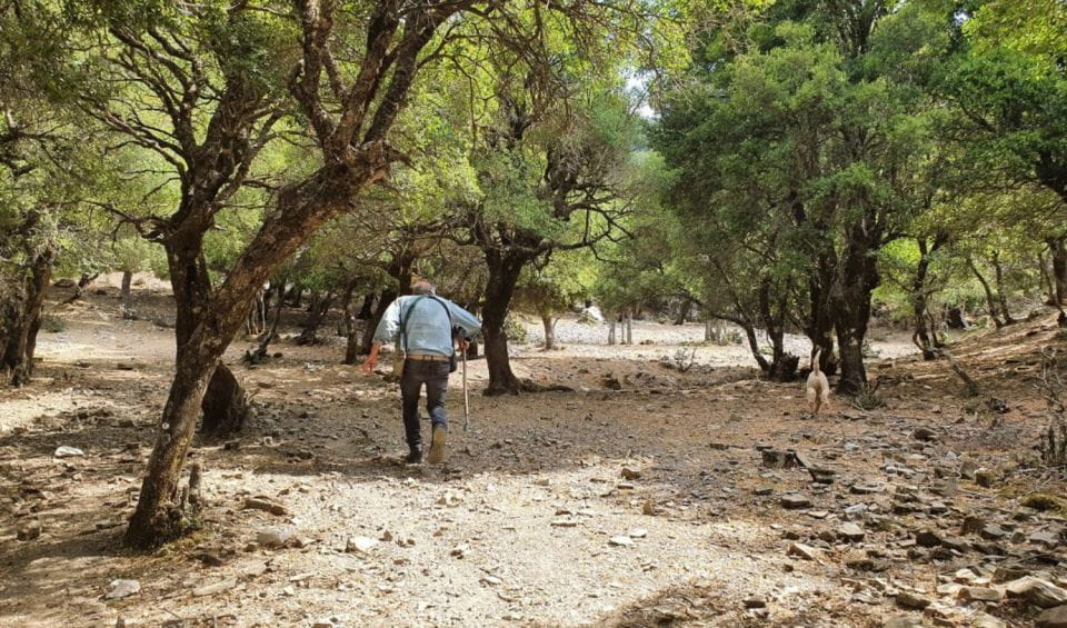 Truffle Hunting, Culinary & Wine Celebration From Heraklion - Concierge Support