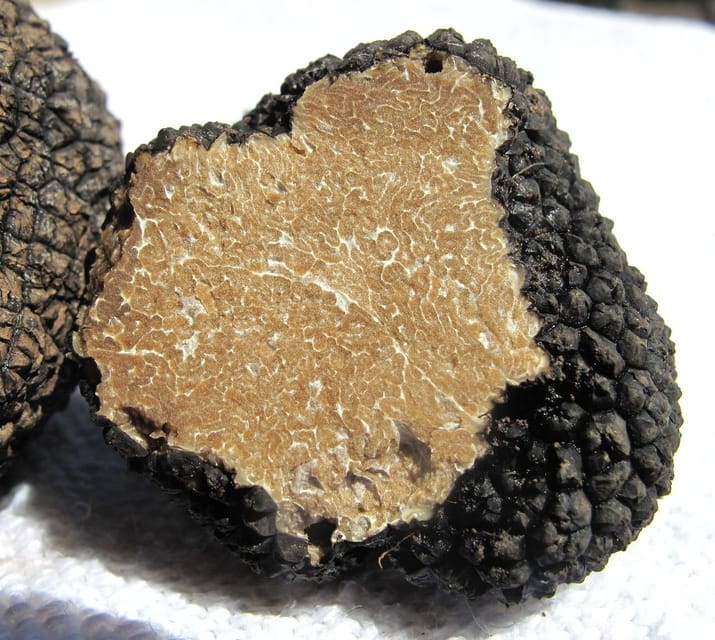 Truffle hunting in Istria private experience - FAQ