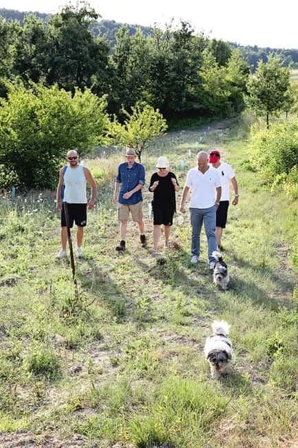 Truffle Hunting in Provence - Key Points / Takeaways