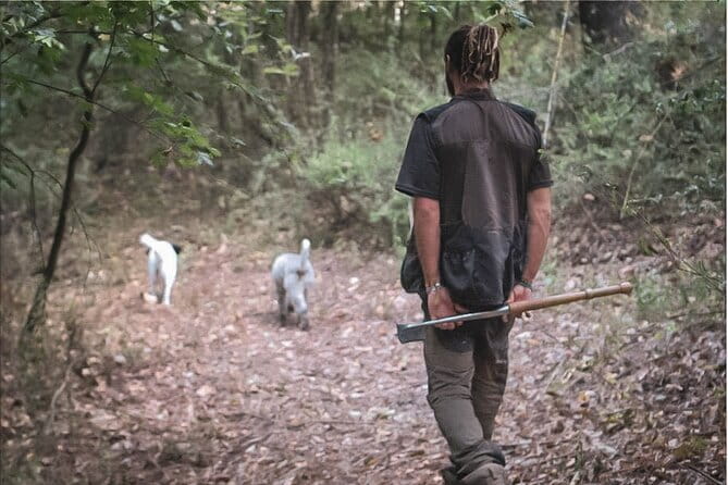 Truffle Hunting in San Gimignano - FAQ