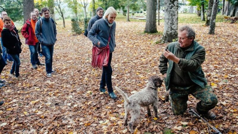 Truffle Hunting In The Hills Of Tuscany - Key Points / Takeaways