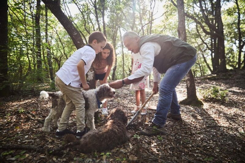 Truffle Hunting In The Hills Of Tuscany - FAQ