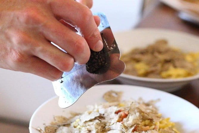 Truffle hunting near Rome - What You Can Expect on the Tour
