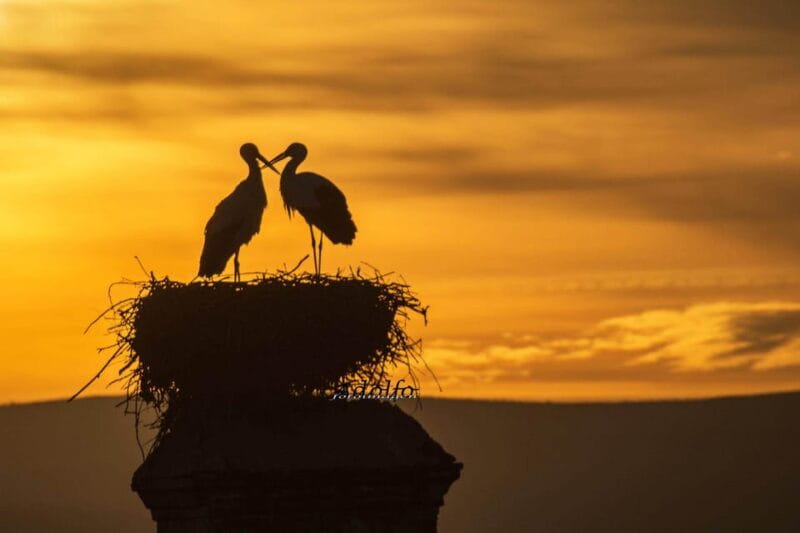 Trujillo :Sunset guided visit "The Sunset Collector". - The Magic of Sunset in Trujillo: An In-Depth Review