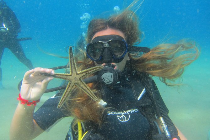 Try a Dive, Discover Scuba Diving in Mykonos - Exploring the Lia Reef