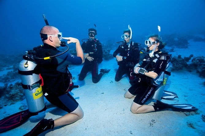 Try Scuba Dive (baptism of the sea) - Who Should Consider This Experience?