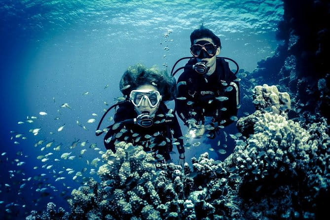 Try Scuba Dive (baptism of the sea) - Frequently Asked Questions