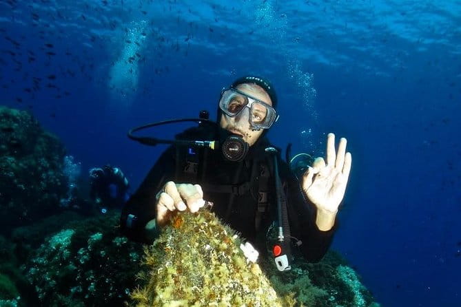 Try Scuba Diving - The Whole Experience: What to Expect