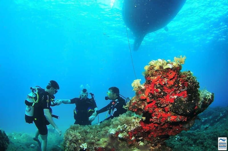Try Scuba Diving and Snorkeling boat trip in Ibiza - Introduction: A Fun and Safe Introduction to Ibiza’s Underwater World