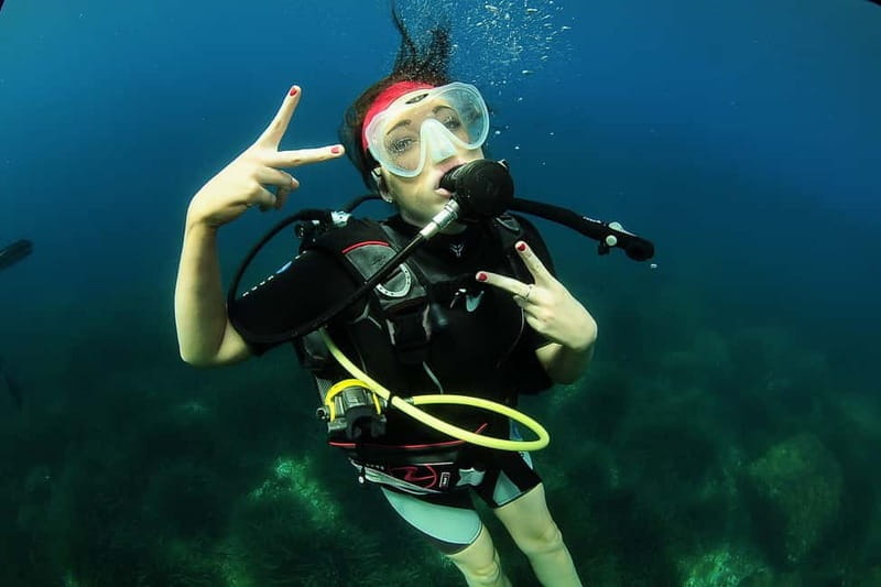 Try Scuba Diving and Snorkeling boat trip in Ibiza - What to Expect During the Trip
