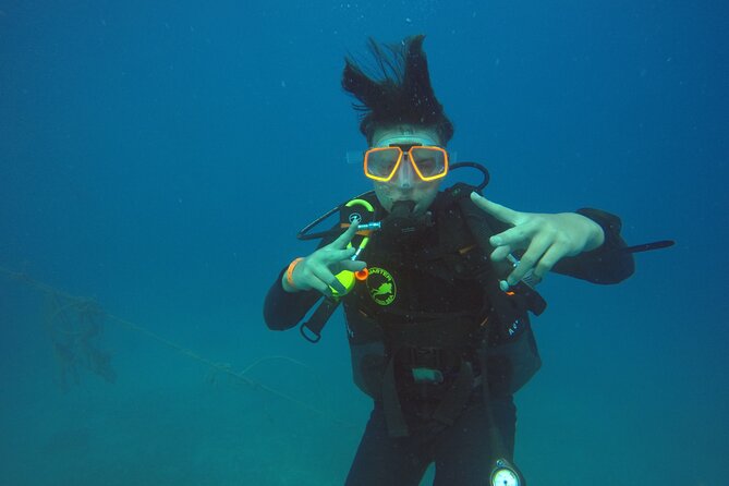 Try Scuba Diving Experience for Beginners in Hurghada - Expected Marine Life Sightings