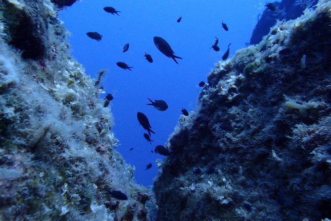 Try Scuba Diving in Lanzarote (No Experience Needed) - Meeting Point and Location
