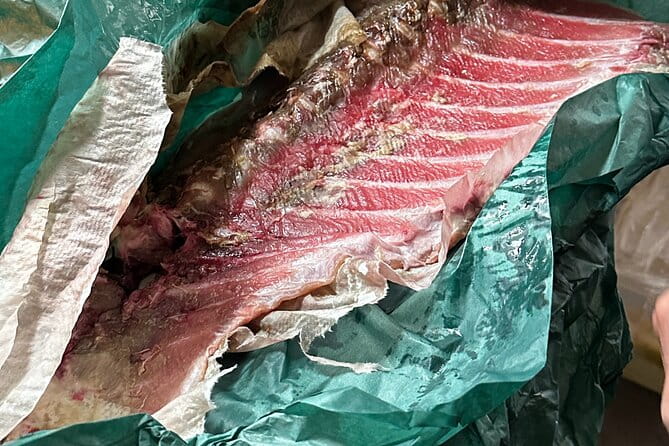 Tsukiji Fish Market Tour & Buy Fish to Eat at Hidden Home Kitchen - Overview of the Tsukiji Fish Market Tour