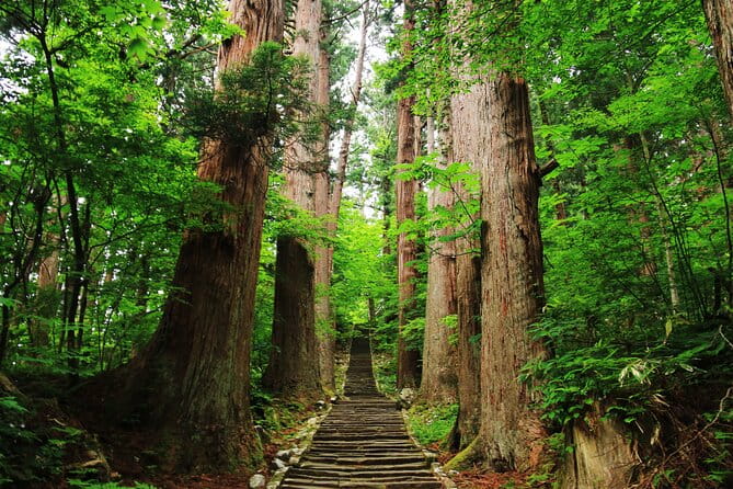 Tsuruoka & Dewa-Sanzan Full-Day Private Tour With Government-Licensed Guide - Booking Information and Pricing