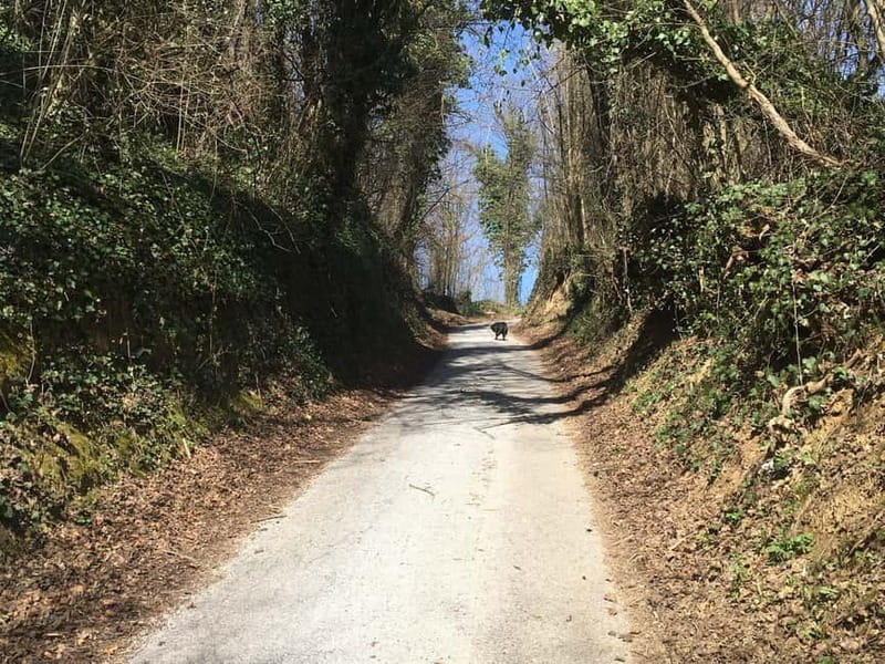 Tuheljske Toplice: Do Spomenika hrvatskoj majci pjeaenjem - The Itinerary: What to Expect at Each Step